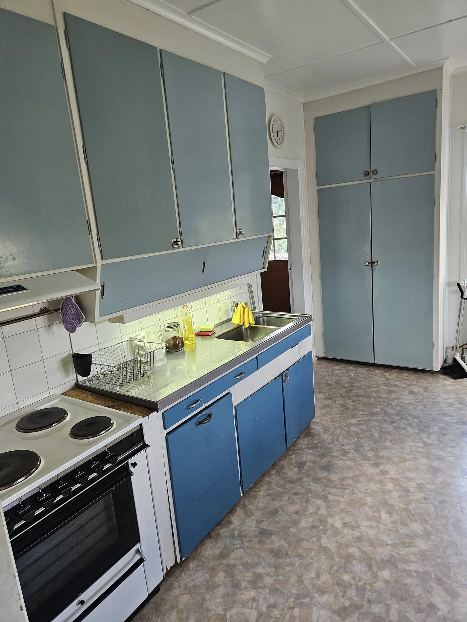 Збір чорниці